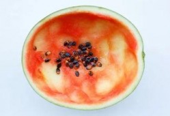 吃瓜勺子拍照图片高清,趣味瞬间捕捉