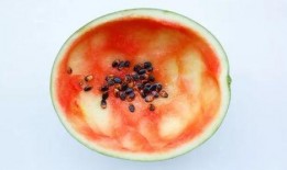 吃瓜勺子拍照图片高清,趣味瞬间捕捉