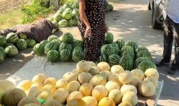 热点吃瓜料,吃瓜群众热议的幕后真相