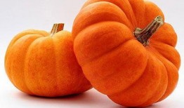 吃瓜协会大瓜,大瓜背后的真相与趣味