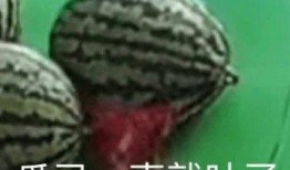 吃瓜看啥货,吃瓜看啥货，带你领略明星幕后故事