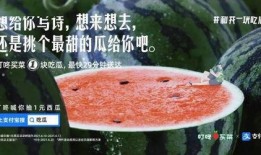 夏至 吃瓜 文案,夏日消暑美食之旅