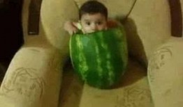 吃文明瓜,传承农耕文化