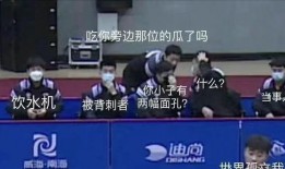 国乒队吃瓜文件,揭秘队员幕后趣事与团队精神