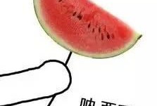 最新搞笑吃瓜图片高清