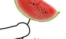 最新搞笑吃瓜图片高清