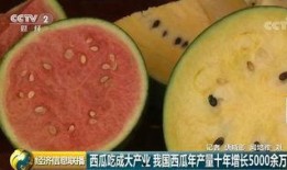 吃瓜群众成铁蛋,揭秘网络红人的崛起之路