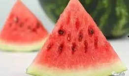 浦江吃瓜,一场别开生面的吃瓜盛宴