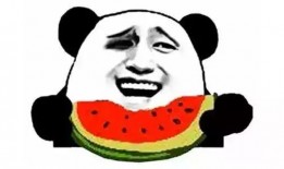 吃瓜大队04,揭秘娱乐圈背后的那些事儿