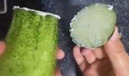 吃瓜磨脖子,揭秘娱乐圈幕后故事