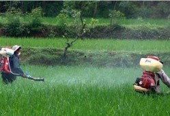 吃瓜 者被农药吃死了,悲剧！吃瓜群众误食农药中毒身亡