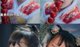 全家听我心声吃瓜,共享欢乐吃瓜时光