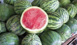 吊放瓜怎么吃,解锁美味新体验