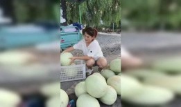 啥吃瓜,网络热词背后的趣味与思考