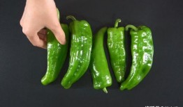 吃辣椒吃瓜,辣椒与西瓜的夏日美味之旅