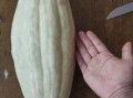 结瓜怎么吃有毒,如何安全食用