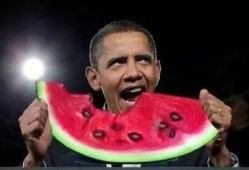 篮球明星吃瓜视频大全,盘点那些搞笑又温馨的篮球明星幕后花絮