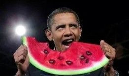 篮球明星吃瓜视频大全,盘点那些搞笑又温馨的篮球明星幕后花絮