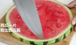 草木仙吃瓜神仙,草木仙与瓜果仙的奇幻邂逅