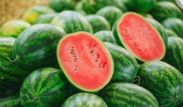 吃瓜群刷视频吃瓜的人,见证时代变迁的“瓜农”生活