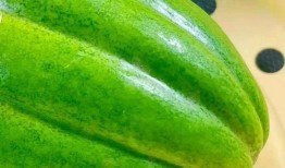 瓜油怎么吃,解锁多种美味食用方法