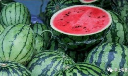 知产吃瓜,揭秘娱乐圈知识产权纠纷背后的故事