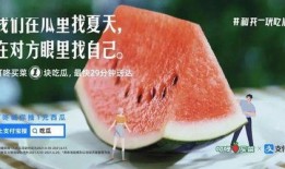 夏至 吃瓜 文案,夏日消暑美食之旅