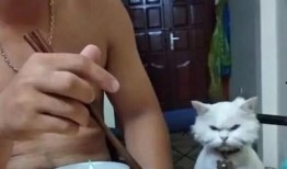 赛文主人吃瓜视频,揭秘娱乐圈幕后真相