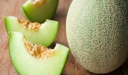 荨麻疹可以吃哈密瓜,哈密瓜助力缓解症状