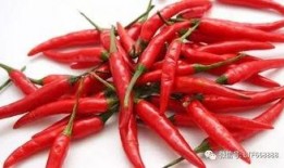 吃辣椒吃瓜,辣椒与西瓜的夏日美味之旅