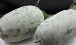 吃瓜第一线吃瓜,揭秘娱乐圈幕后风云