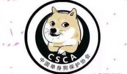 忠诚吃瓜,揭秘忠诚背后的吃瓜真相