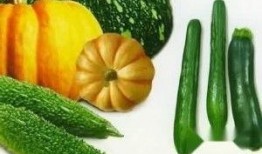 给鸡吃瓜,给鸡吃瓜，共享清凉时光