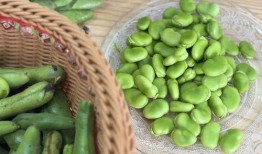 豆瓣吃瓜复建小组,揭秘网络舆论场中的“瓜田”盛景