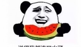 怎么叫朋友吃瓜,一起探索朋友间的趣味互动