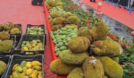 云南芒市吃瓜,云南芒市的夏日美味之旅