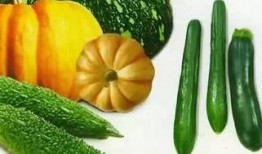 吃瓜变帅,揭秘美食与颜值的秘密