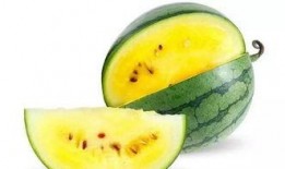 学校里面吃瓜,揭秘校园里的那些“秘密”