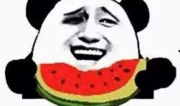 小黄小蓝吃瓜,小黄小蓝的瓜田奇遇记