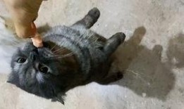 躺着吃瓜图,揭秘现代人的休闲新风尚