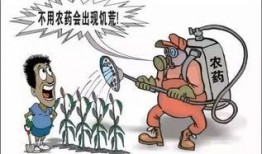 吃瓜 者被农药吃死了,悲剧！吃瓜群众误食农药中毒身亡