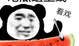 吃瓜群控,网络舆论背后的操控与真相