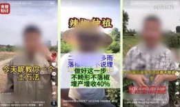 吃大瓜结果不是大瓜的说说,非大瓜的意外发现