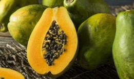 月子葫芦瓜怎么吃,月子期间葫芦瓜的多样食用方法解析