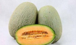 荨麻疹可以吃哈密瓜,哈密瓜助力缓解症状