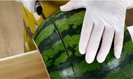 草木仙吃瓜神仙,草木仙与瓜果仙的奇幻邂逅