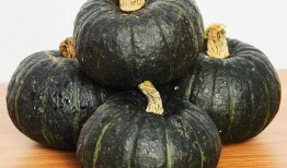 贝贝宁瓜怎么吃,创意烹饪指南