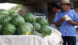 南京浦江吃瓜事件,一场引发热议的街头冲突