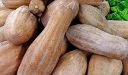 方瓜不能经常吃,健康饮食指南