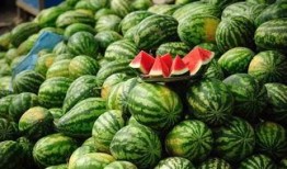 吃瓜变帅,揭秘美食与颜值的秘密